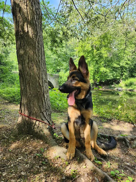 All Fur Paws Animal Hospital Picture 6