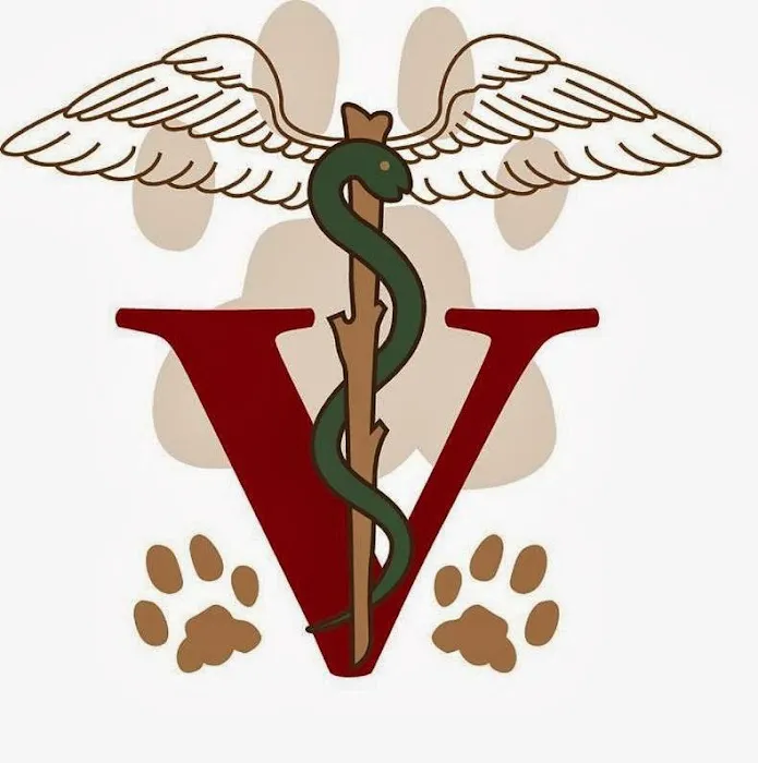 All Fur Paws Animal Hospital Picture 2