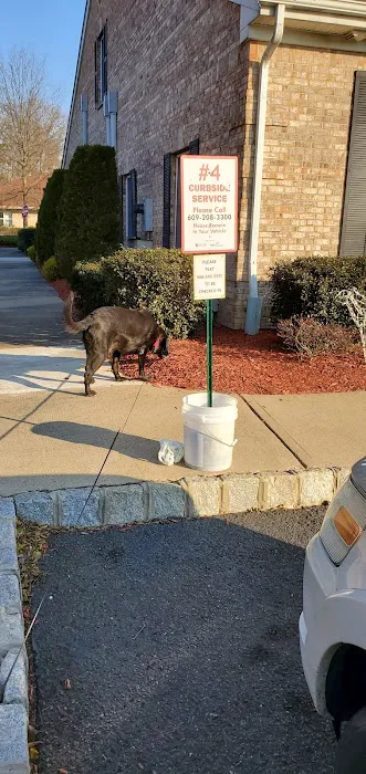 All Fur Paws Animal Hospital Picture 3