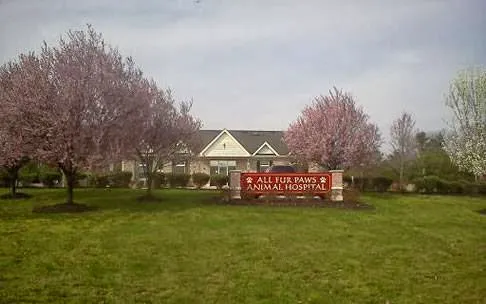 All Fur Paws Animal Hospital Picture 8