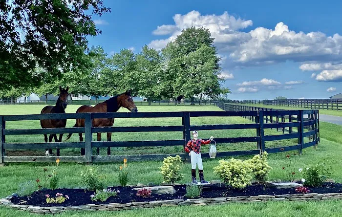 Hogan Equine Llc Picture 1