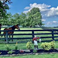 Hogan Equine Llc ico