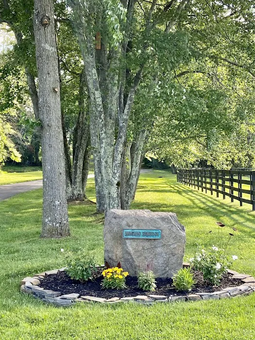 Hogan Equine Llc Picture 5