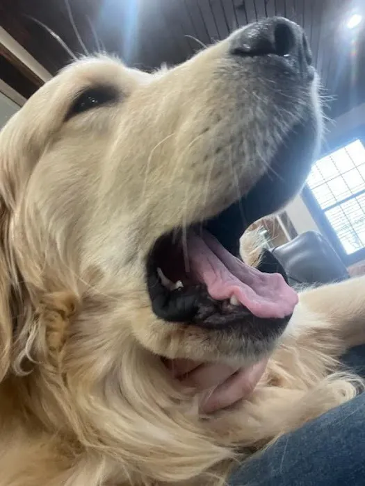 Hogan Equine Llc Picture 2