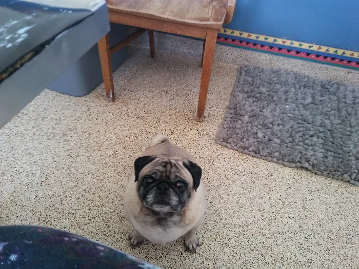 Readington Animal Hospital Picture 1