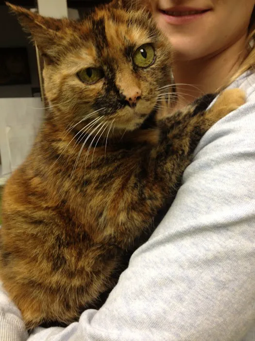 Readington Animal Hospital Picture 8