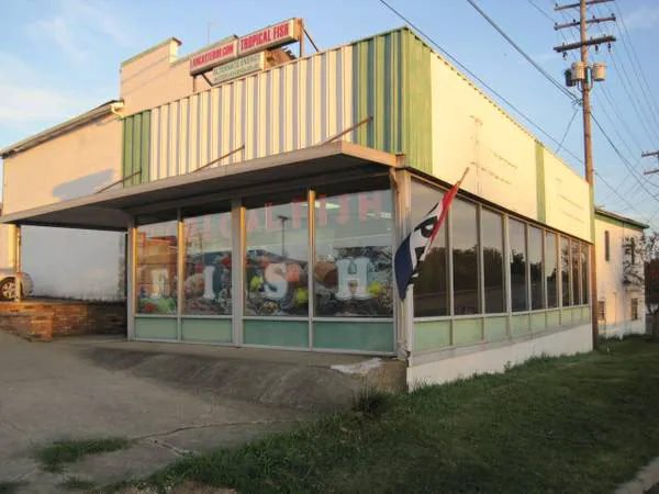 J P Success, Inc. Picture 7