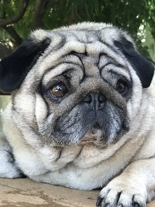 Whitehouse Veterinary Hospital Picture 3