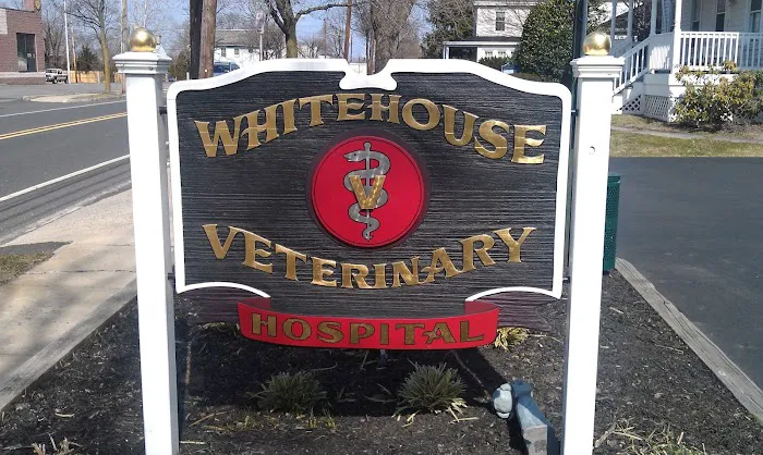 Whitehouse Veterinary Hospital Picture 10
