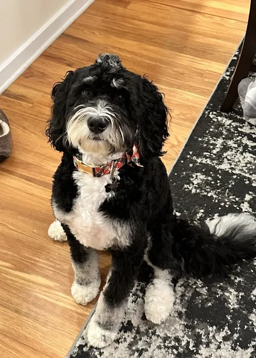 Hunterdon Hills Animal Hospital Picture 5