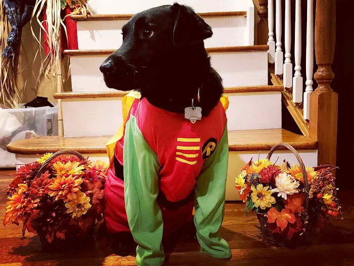 Hunterdon Hills Animal Hospital Picture 10