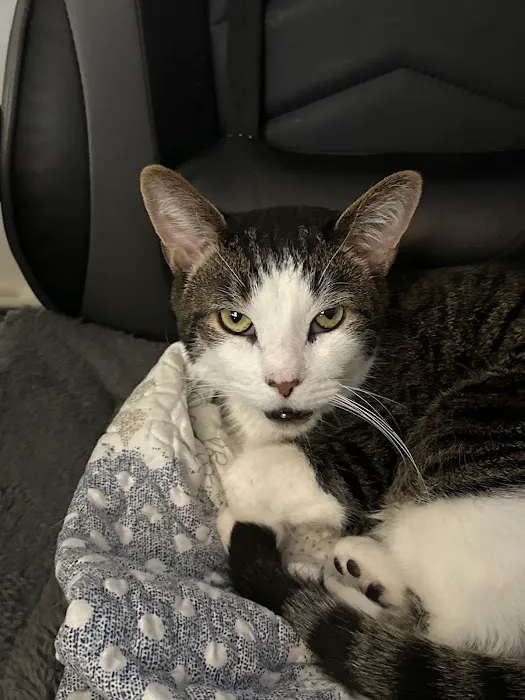 Hunterdon Hills Animal Hospital Picture 4