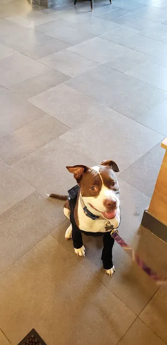 Hunterdon Hills Animal Hospital Picture 9