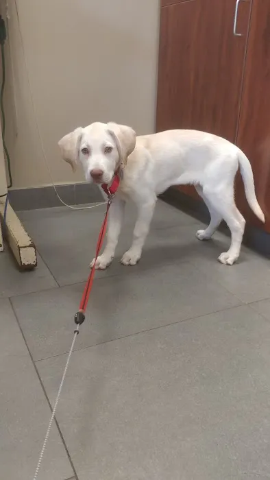 Hunterdon Hills Animal Hospital Picture 1