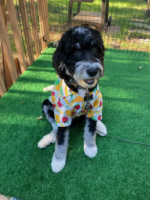 Hunterdon Hills Animal Hospital Picture 2