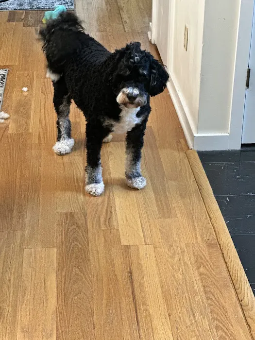 Hunterdon Hills Animal Hospital Picture 7