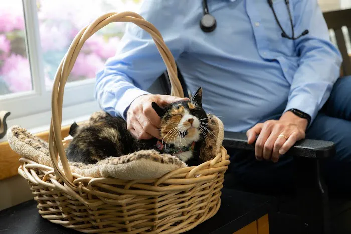 Harlingen Veterinary Clinic Picture 5