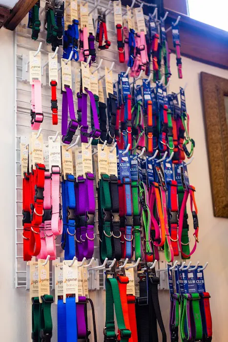 Village Pet Market Picture 3