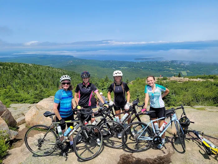 HomeCare Veterinary Clinic Picture 4