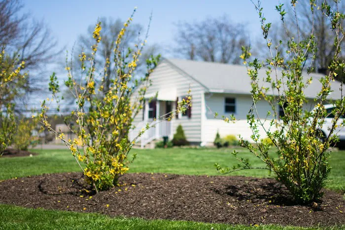 HomeCare Veterinary Clinic Picture 1