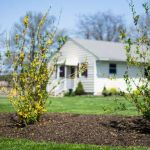 HomeCare Veterinary Clinic