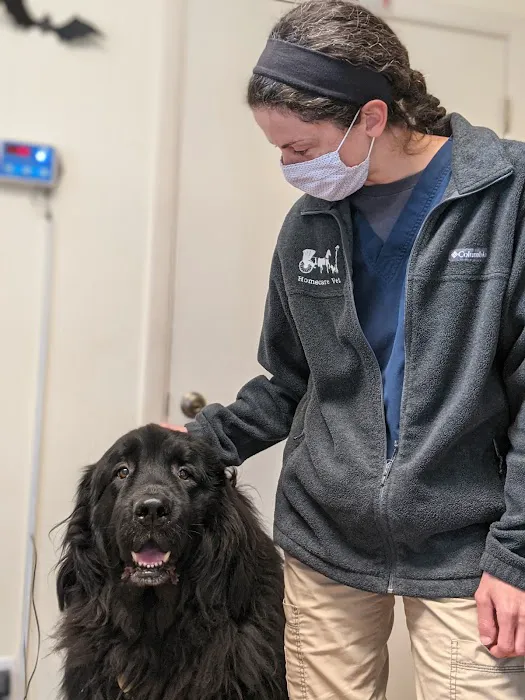 HomeCare Veterinary Clinic Picture 8