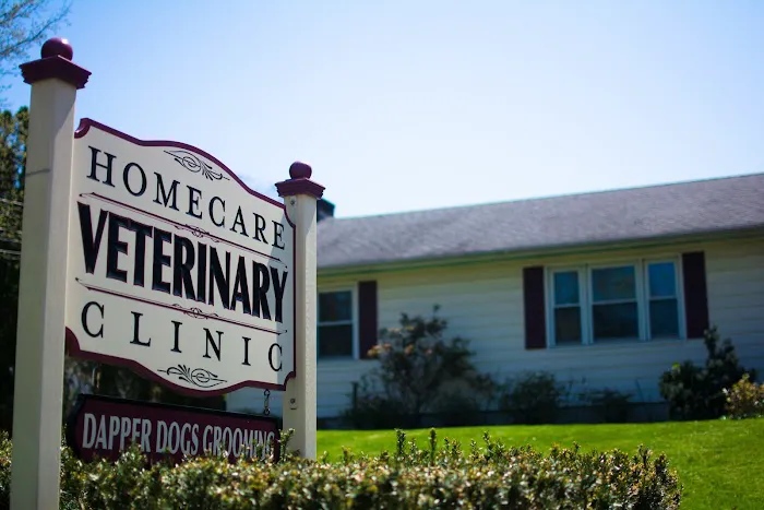 HomeCare Veterinary Clinic Picture 5