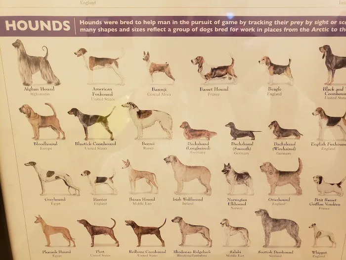 HomeCare Veterinary Clinic Picture 7