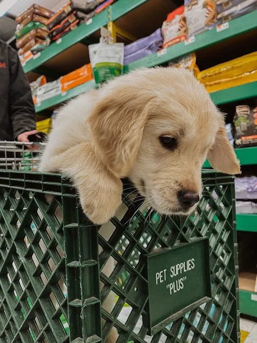 Pet Supplies Plus Newark Picture 6