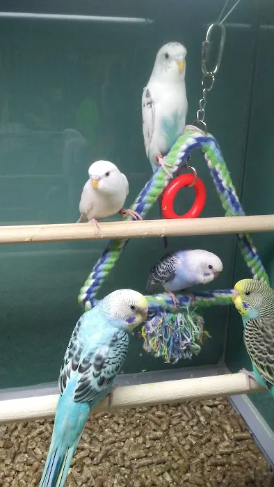 Pet Supplies Plus Newark Picture 5