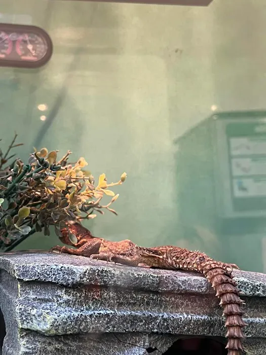 Pet Supplies Plus Newark Picture 1