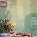 Pet Supplies Plus Newark