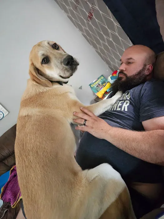 Pet Supplies Plus Newark Picture 10