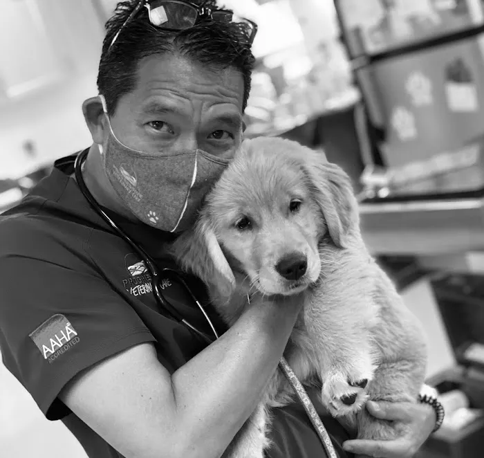 Progressive Veterinary Care | Skilled, Compassionate Vet in Skillman NJ Picture 3