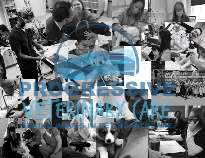 Progressive Veterinary Care | Skilled, Compassionate Vet in Skillman NJ Picture 2