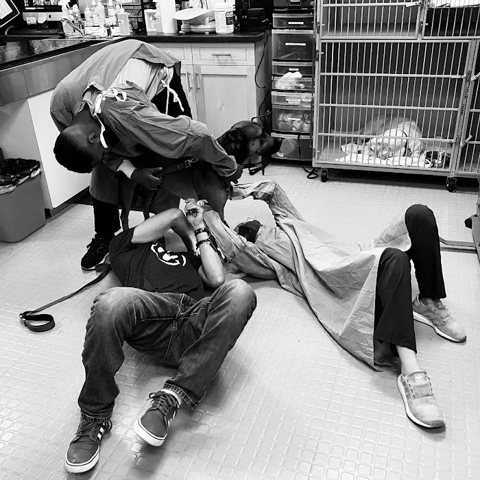 Progressive Veterinary Care | Skilled, Compassionate Vet in Skillman NJ Picture 7