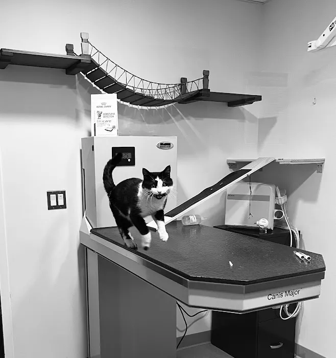 Progressive Veterinary Care | Skilled, Compassionate Vet in Skillman NJ Picture 4