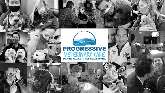 Progressive Veterinary Care | Skilled, Compassionate Vet in Skillman NJ Picture 10