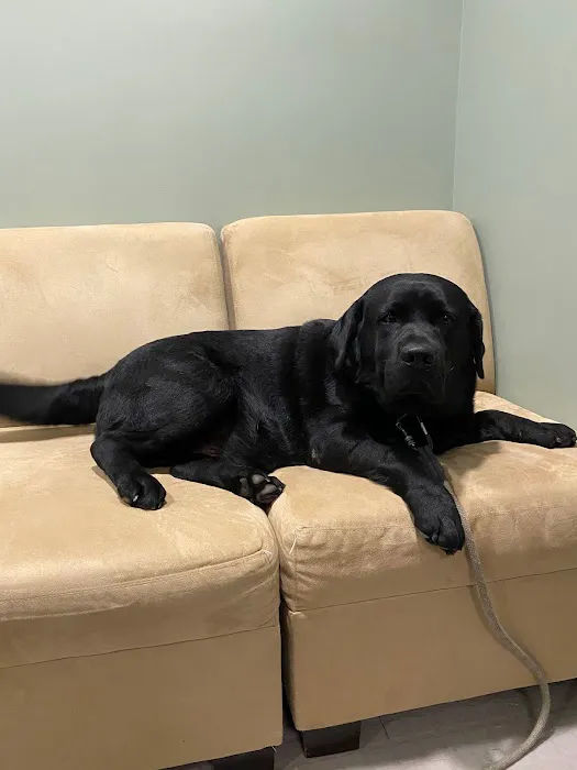 Progressive Veterinary Care | Skilled, Compassionate Vet in Skillman NJ Picture 1