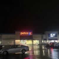 Petco ico
