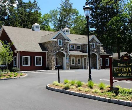 Black River Veterinary Hospital
