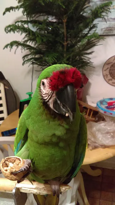 Black River Veterinary Hospital Picture 8