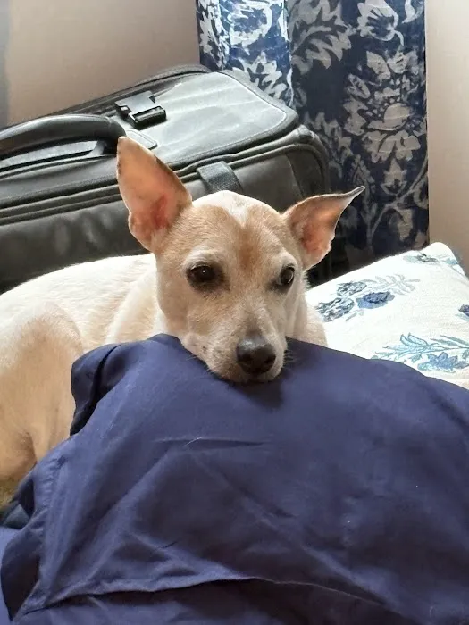 Black River Veterinary Hospital Picture 7