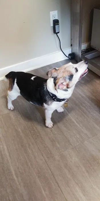 Black River Veterinary Hospital Picture 3