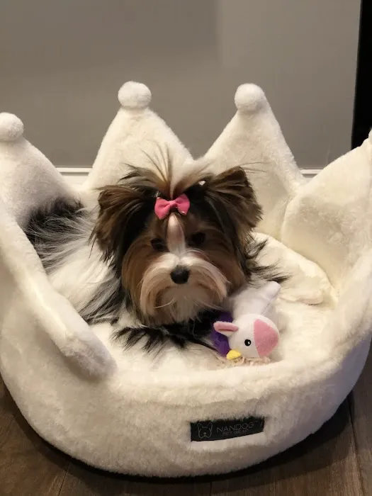 Black River Veterinary Hospital Picture 9