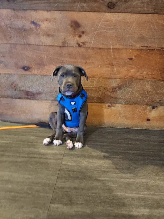 Black River Veterinary Hospital Picture 4