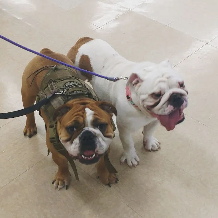 Black River Veterinary Hospital Picture 10