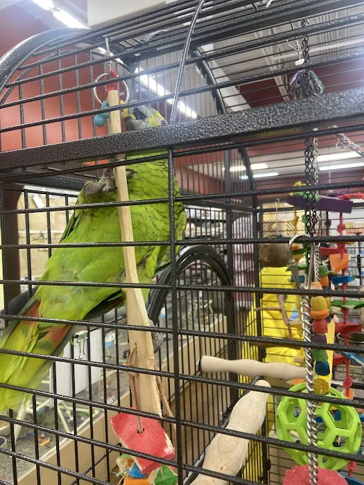 Petland Chillicothe Picture 2