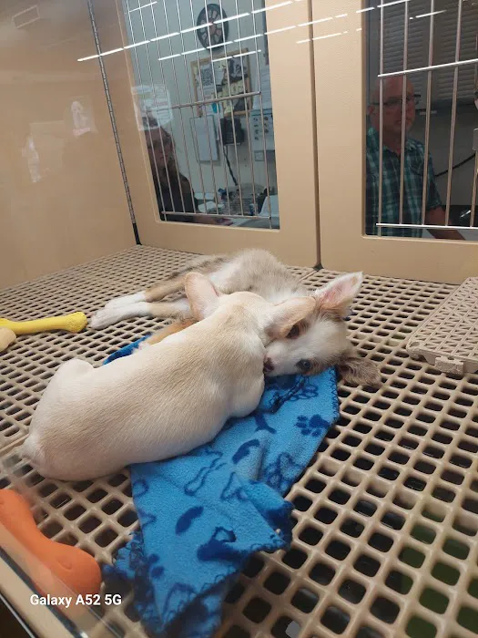 Petland Chillicothe Picture 10