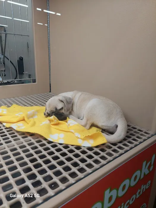 Petland Chillicothe Picture 3
